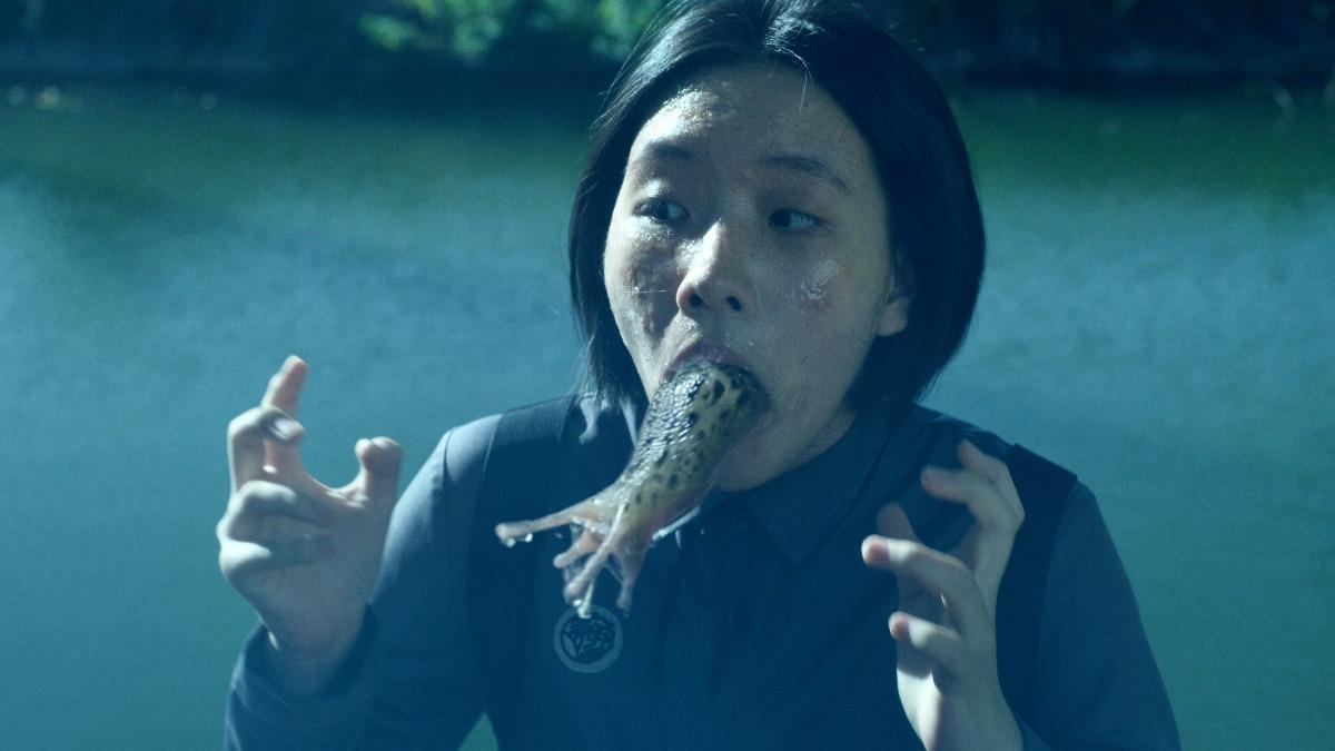 深度解读：H5技术在数字娱乐领域的应用前景 - C8娱乐